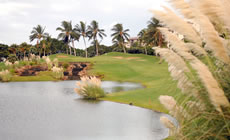 Access Hawaii Club, Luxury Hawaii